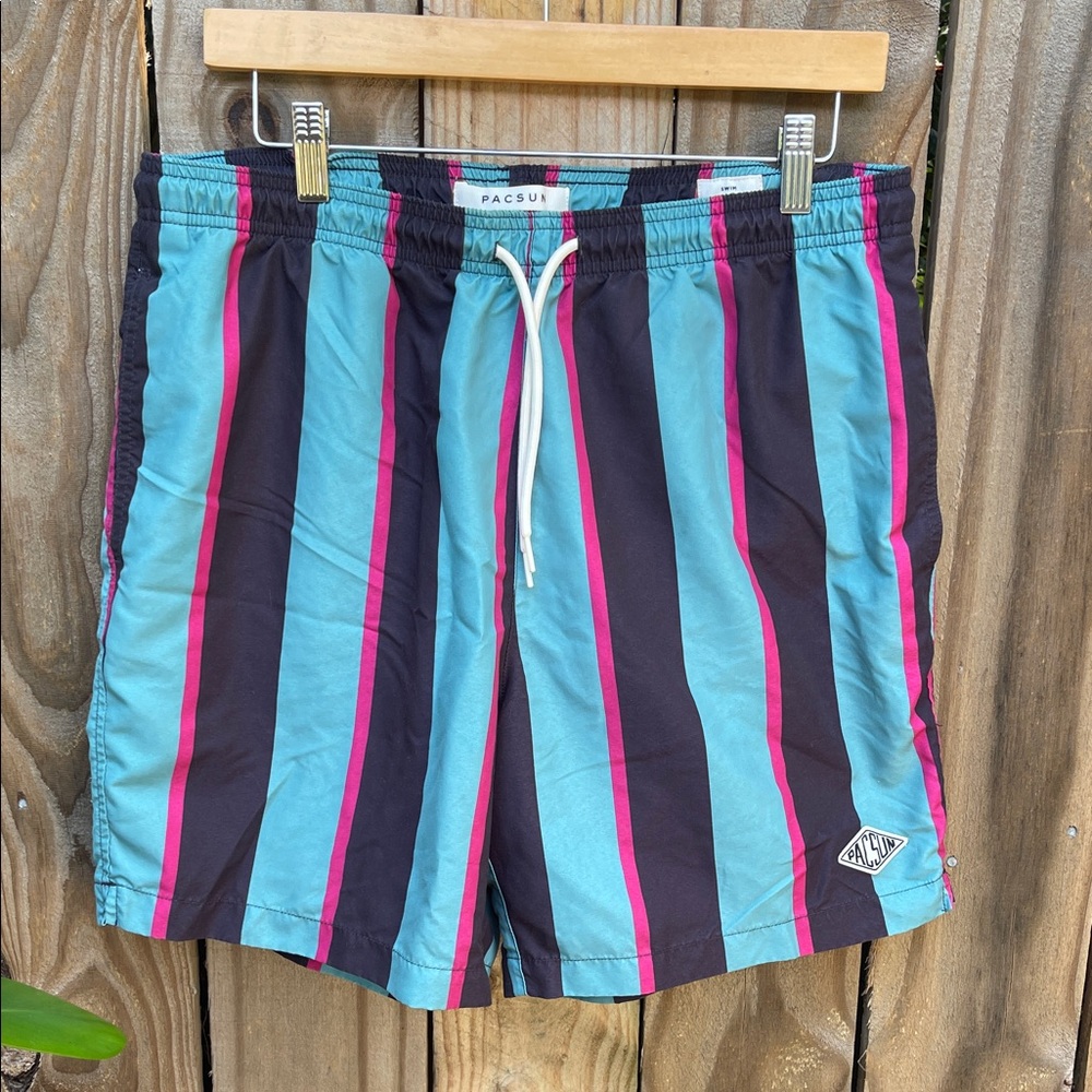 PacSun Vibrant Striped Swim Shorts